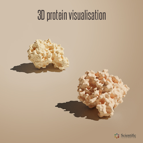 Proteins structures - 3D visualisation