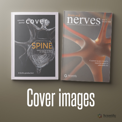 Cover images scientific journals - 3D illustration - pencils illustration - bones - neuron